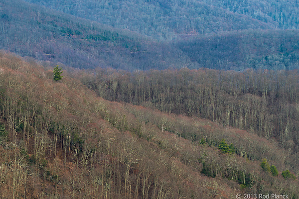 Southern Appalachian Mountains Tour, East Tennessee