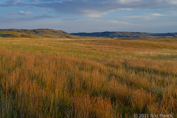 Badlands National Park, Wind Cave National Park, Custer State Park and National Grasslands, South Dakota