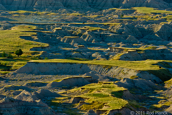 Badlands National Park, Wind Cave National Park, Custer State Park and National Grasslands, South Dakota