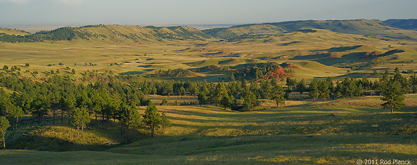 Badlands National Park, Wind Cave National Park, Custer State Park and National Grasslands, South Dakota