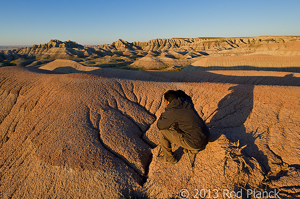 Badlands National Park, Wind Cave National Park, Custer State Park and National Grasslands, South Dakota