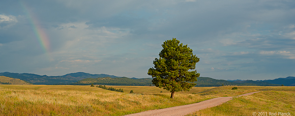 Badlands National Park, Wind Cave National Park, Custer State Park and National Grasslands, South Dakota