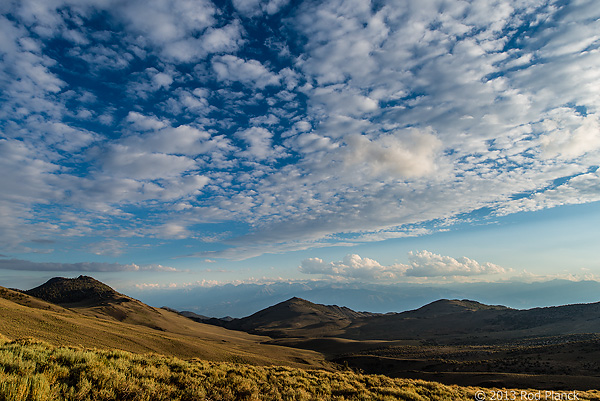 Bristlecone Pines and Landscapes of the Eastern Sierras Tour