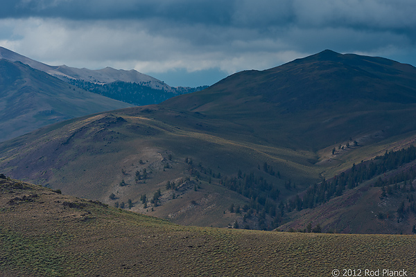 White Mountains, Ancient Bristlecone Pine Forest, California