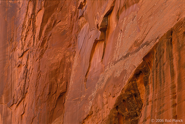Upper Spring Canyon, Detail, Wingate Sandstone