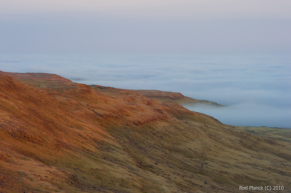 Fog Bank, Iceland