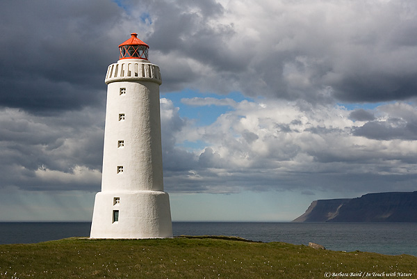 Lighthouse, Barbara Baird