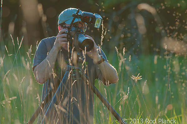 Particpant Photographing Dragonfly, Summer Safaris, Michigan