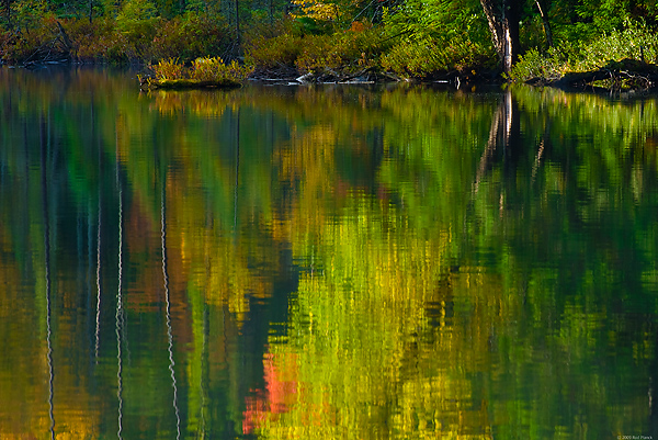 Autumn, Eastern Upper Peninsula, Michigan