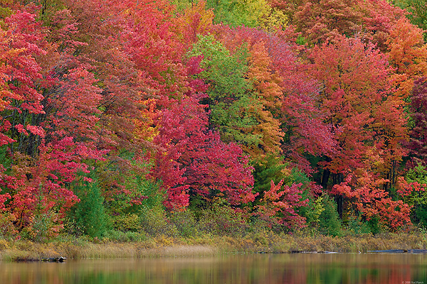 Autumn, Eastern Upper Peninsula, Michigan