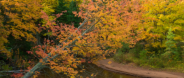 Autumn Panoramic; Upper Peninsula; Michigan