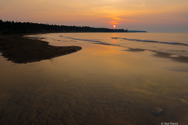 Sunrise, Lake Michigan Shoreline, Foggy Bogs and Dewy Insects Workshop, Michigan