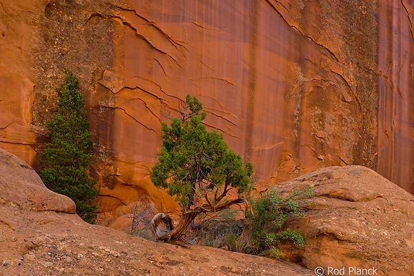 Canyon Wall, Grand Staircase / Escalante National Monument, UT