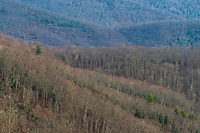 Southern Appalachian Mountains Tour, East Tennessee