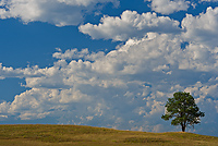 Badlands National Park, Wind Cave National Park, Custer State Park and National Grasslands, South Dakota