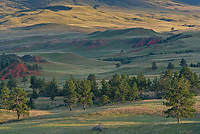 Badlands National Park, Wind Cave National Park, Custer State Park and National Grasslands, South Dakota