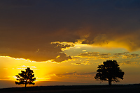 Badlands National Park, Wind Cave National Park, Custer State Park and National Grasslands, South Dakota