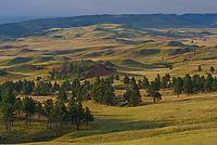 Badlands National Park, Wind Cave National Park, Custer State Park and National Grasslands, South Dakota