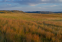 Badlands National Park, Wind Cave National Park, Custer State Park and National Grasslands, South Dakota