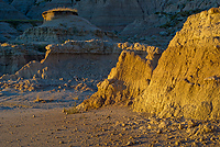 Badlands National Park, Wind Cave National Park, Custer State Park and National Grasslands, South Dakota