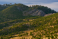 Badlands National Park, Wind Cave National Park, Custer State Park and National Grasslands, South Dakota