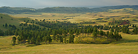 Badlands National Park, Wind Cave National Park, Custer State Park and National Grasslands, South Dakota