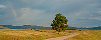 Badlands National Park, Wind Cave National Park, Custer State Park and National Grasslands, South Dakota