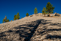 Bristlecone Pines and Landscapes of the Eastern Sierras Tour