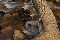 Rock Creek, Rock Creek Canyon, Sierra Nevada, California