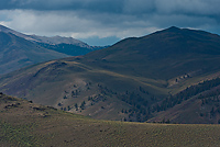 White Mountains, Ancient Bristlecone Pine Forest, California