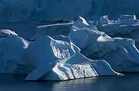 Iceberg(s) along Antarctic Peninsula, Austral Summer