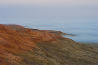 Fog Bank, Iceland