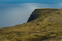 Latrabjarg Cliff, Iceland