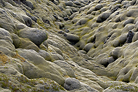 Moss Covered Lava Field, Eldhraun, Iceland