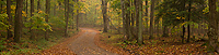 Landscape; Dirt Road; Autumn; Northern Michigan; Michigan; Panoramic
