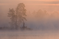 Northern Michigan, Dawn, Summer, Michigan