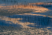 Tahquamenon Watershed, Seney National Wildlife Refuge and Niagara Escarpment, Michigan - Attractions