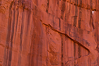Wingate Sandstone, Grand Staircase-Escalante National Monument, UT