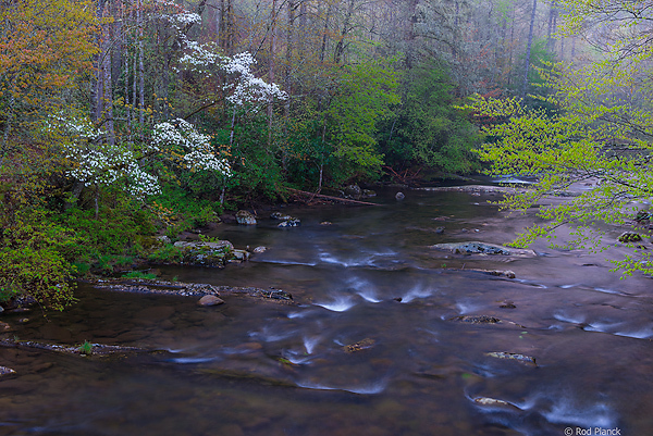 Southern Appalachian Mountains Tour, East Tennessee