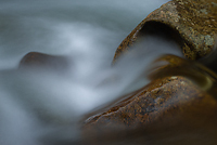 Rock Detail in Flowing Stream