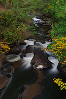 Autumn Forests and Lake Superior Shoreline Tour