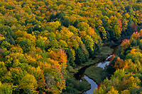 Autumn forest and foggy bogs on the Lake Superior shoreline