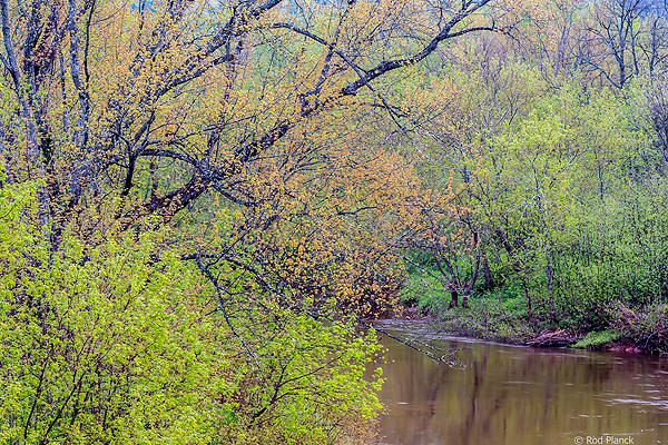 Ultimate Spring Forests, Wild Rivers and Waterfalls