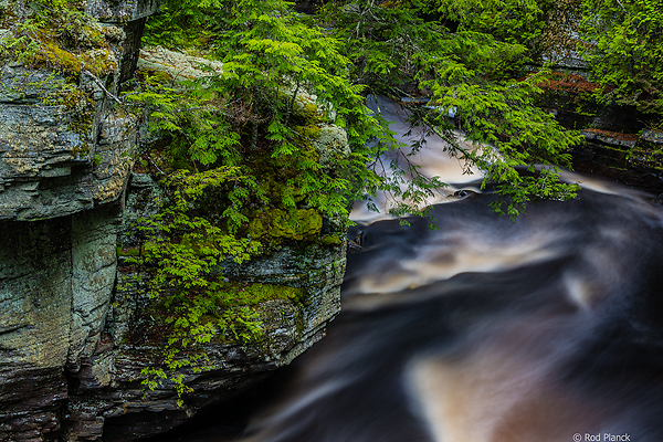 Ultimate Spring Forests, Wild Rivers and Waterfalls