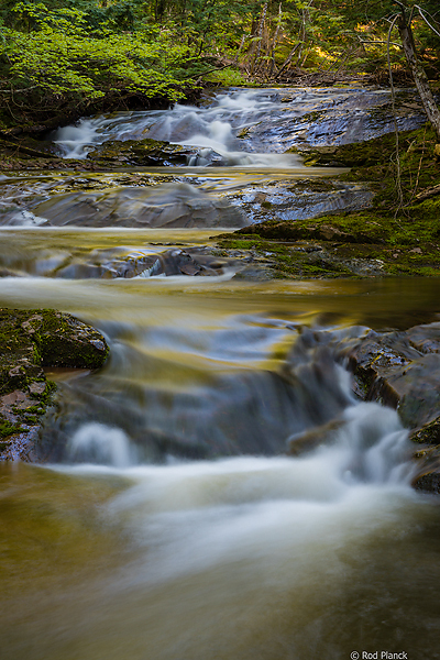 Ultimate Spring Forests, Wild Rivers and Waterfalls